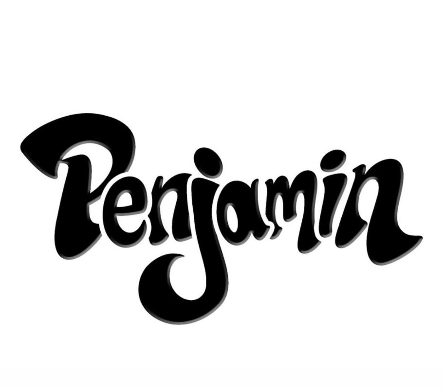 penjamindisposable.com